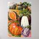 Search for vintage seed catalogues posters Antique