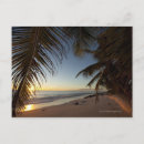 Search for absence postcards Horizontal