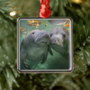 Search for manatee christmas tree decorations Sea cow