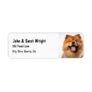 Search for chow return address labels Pet