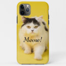 Search for meow cases Modern