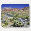 Search for red rocks mouse mats Desert