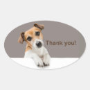 Search for dog envelope seals Typography