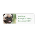 Search for pugs return address labels Pug puppy