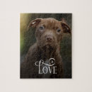 Search for pet photo puzzles Pets