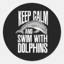Search for dolphins swimming stickers Swim with dolphins
