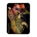 Search for tortoise magnets Desert