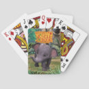 Search for mowgli playing cards Mowgli's pet