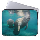 Search for undersea electronics Beach