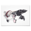 Search for greyhound memorial Animal