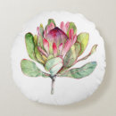 Search for protea cushions Green