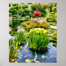 Search for koi pond posters Illustration