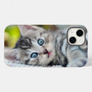 Search for cute baby kitten iphone cases Blue eyes
