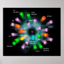 Search for particle physics posters Nucleus
