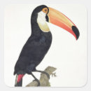 Search for fine stickers Birds