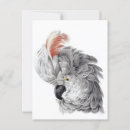 Search for isolated vertical postcards Head