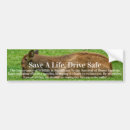 Search for sleep bumper stickers Animal