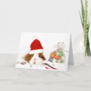Search for demand cards Inexpensive