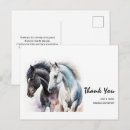 Search for white stallion cards Wild