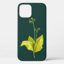 Search for botanist electronics Botany