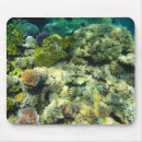 Search for barrier mouse mats Coral
