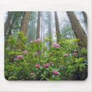 Search for rhododendron mouse mats Tree
