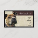 Search for pitbull business cards Terrier