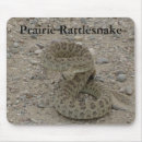 Search for rattlesnake electronics Snakes
