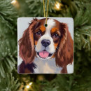 Search for spaniel christmas tree decorations Brown