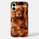 Search for cavalier king charles spaniel iphone cases Ruby