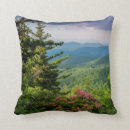 Search for danita delimont cushions Flower