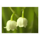 Search for duo posters Floral