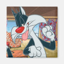 Search for sylvester magnets Tweety