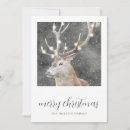 Search for stag christmas cards Winter