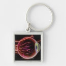 Search for artery key rings Colour