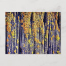 Search for bark photography Design