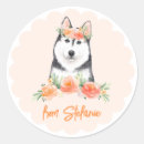 Search for huskies stickers Siberian husky