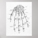 Search for hand anatomy posters Medical