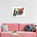 Search for christmas pet portraits Cat