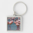 Search for behaviour key rings Colour image