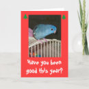 Search for parakeet christmas cards Pet