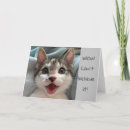 Search for funny daughter birthday cards Cat