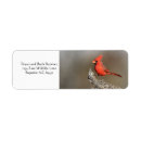 Search for male cardinal return address labels Songbird