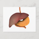 Search for digestion postcards Digestive system
