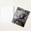 Search for cutest office supplies Animals in the wild