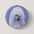 Search for poodle badges Puppy