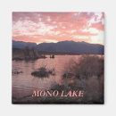 Search for mono magnets Lake