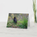 Search for domesticated cards Animal