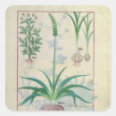 Search for medicinal plants stickers 15th