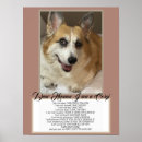 Search for pet memorials Cats